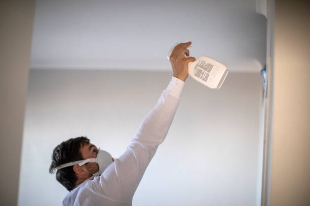Best Preventive Mold Services in Hinton, WV