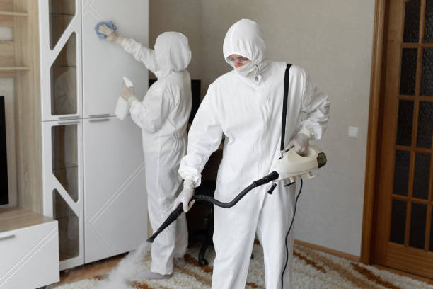 Best Commercial Mold Remediation in Hinton, WV