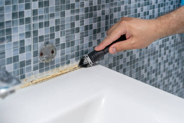 Best Mold Remediation for Specific Building Types in Hinton, WV