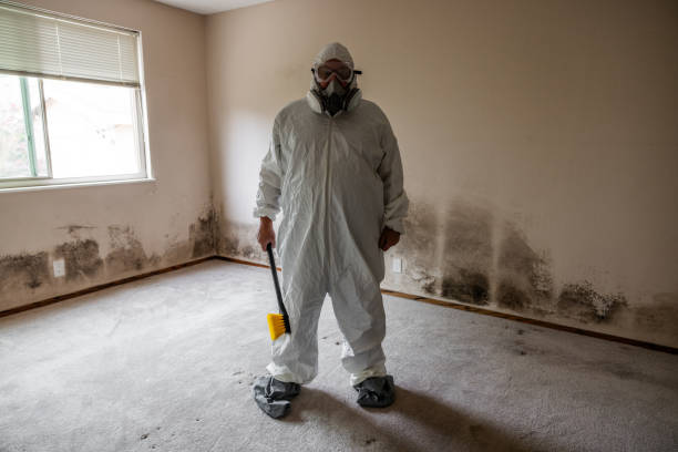 Best Localized Mold Remediation (e.g., coastal areas, humid climates) in Hinton, WV